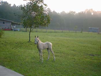 2003-09-09-Rio-3W-2